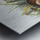 Marsh Hare Lepus palustris  Metal print