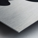 Black Vulture or Carrion Crow Metal print