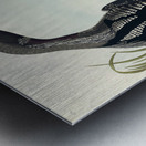 Black-Throated Diver Metal print