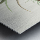 Virginia Rail Metal print