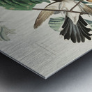 Yellow-billed Cuckoo Metal print