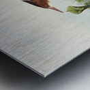 Red-breasted Merganser Metal print