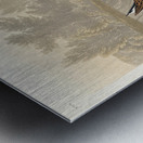 Little Sandpiper Metal print