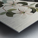 Band-tailed Pigeon Metal print