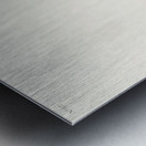 Columbian Water Ouzel and Arctic Water Ouzel Metal print