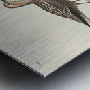 Long-legged Sandpiper Metal print