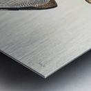 Bartram Sandpiper Impression metal