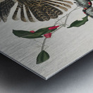 Chuck-wills Widow Metal print