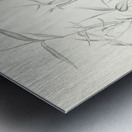 Wild Turkey or Great American Cock Metal print