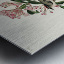 Cuviers Kinglet Metal print