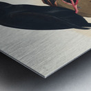 Black or Surf Duck Metal print