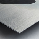 Black Skimmer Metal print