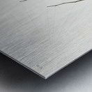 Red-eyed Vireo Metal print