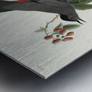 Cat Bird Metal print