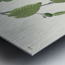 Autumnal Warbler Metal print