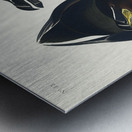 Razor Bill Metal print