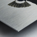 Stormy Petrel Metal print