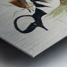 Hooded Merganser Metal print