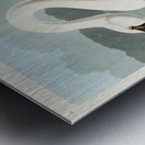 Common American Swan Metal print