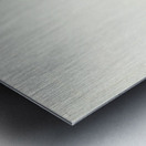 White-headed Eagle Metal print