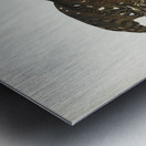 Stanley Hawk Metal print