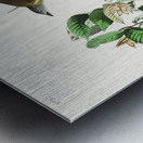 American Redstart Metal print