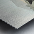 American Redstart Metal print