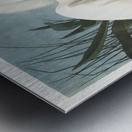 Snowy Heron or White Egret Metal print