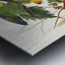 Carolina Parrot Metal print