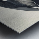 Golden-crowned Thrush Metal print