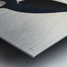 Large billed Puffin Metal print