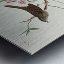 Lincoln Finch Metal print