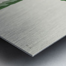 Black & Yellow Warbler Metal print