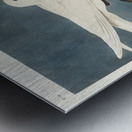 Ivory Gull Metal print