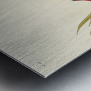 Common Gallinule Metal print