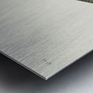 Wilsons Plover Metal print