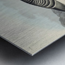 Barnacle Goose Metal print