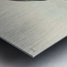 Least Stormy-Petrel Metal print