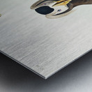 Tufted Auk Metal print