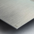 California Partridge Metal print