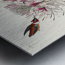 Ruff-necked Humming-bird Metal print