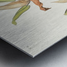 Kentucky Warbler Metal print