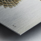 Barred Owl Metal print