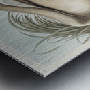 Trumpeter Swan Metal print