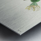 Grass Finch or Bay-winged Bunting Metal print