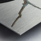 Black Warrior Metal print