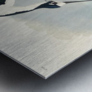 Long-legged Avocet Metal print