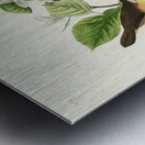 Wandering Shearwater Metal print