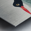 Wandering Shearwater Metal print