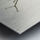 Winter Wren and Rock Wren Metal print